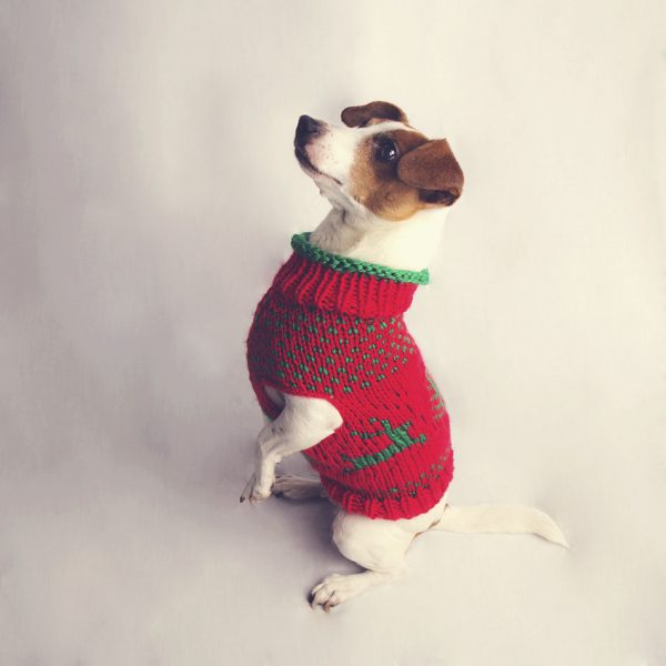 The Juno Christmas Jumper - Image 3