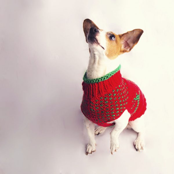 The Juno Christmas Jumper - Image 4
