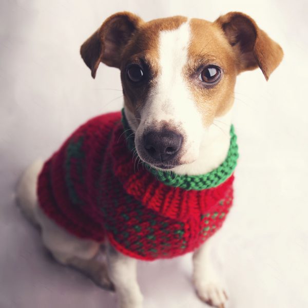 The Juno Christmas Jumper - Image 5