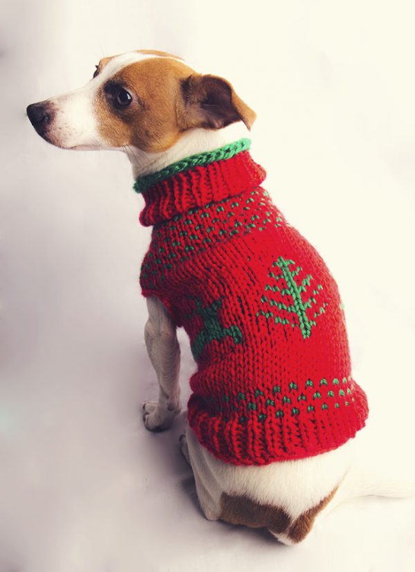 The Juno Christmas Jumper - Image 6