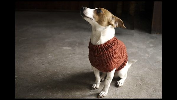 The Juno Jumper - Image 3